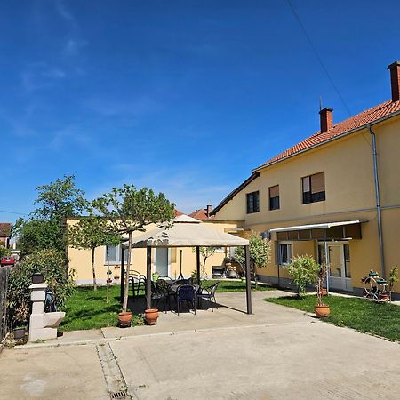 Apartments Kuca Aleksic นิส ภายนอก รูปภาพ