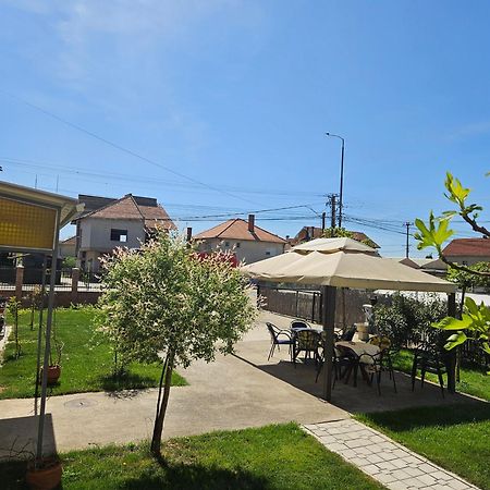 Apartments Kuca Aleksic นิส ภายนอก รูปภาพ